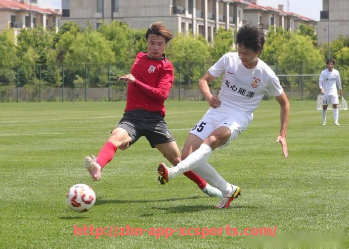 杏彩体育-2006年西甲排名积分榜及球队表现评析