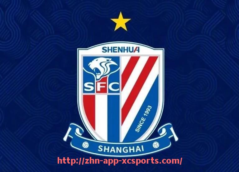 杏彩体育-世俱杯球员年度传球类型结构比例分析与战术适配